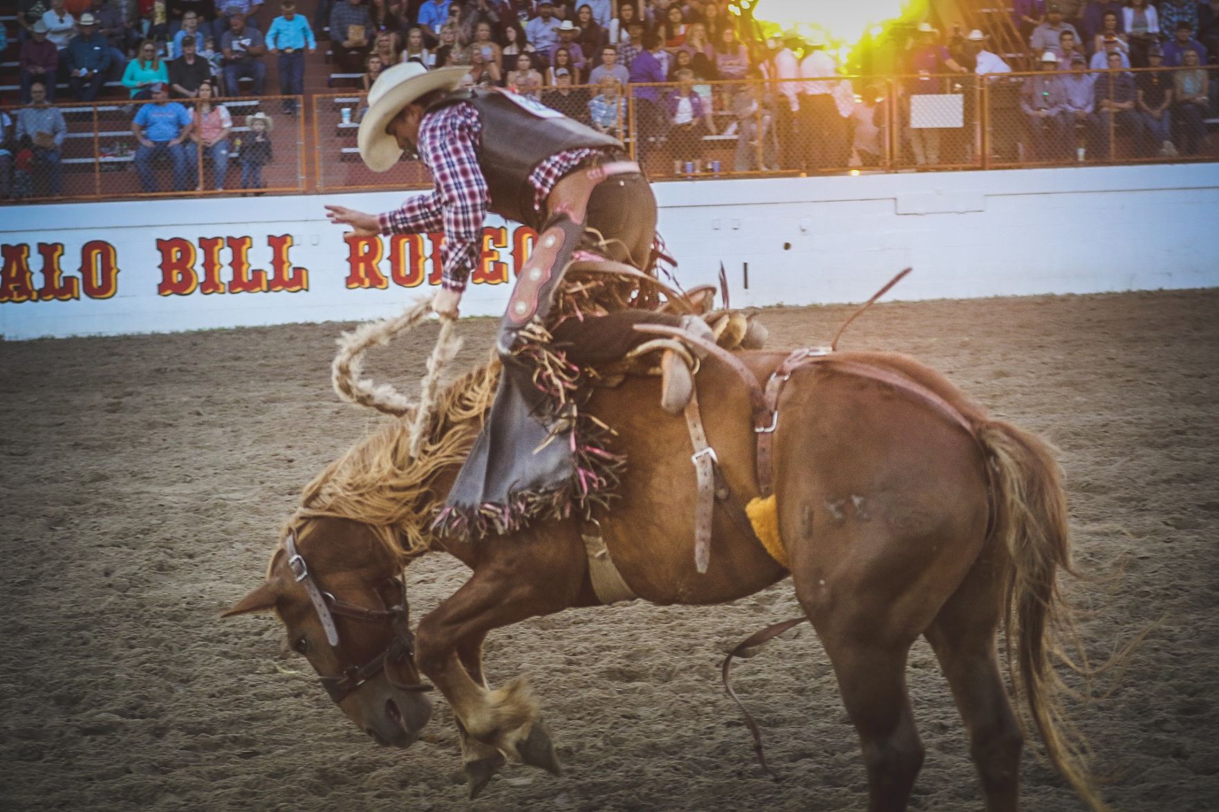 Buffalo Bill Rodeo Night 1 (22).jpg